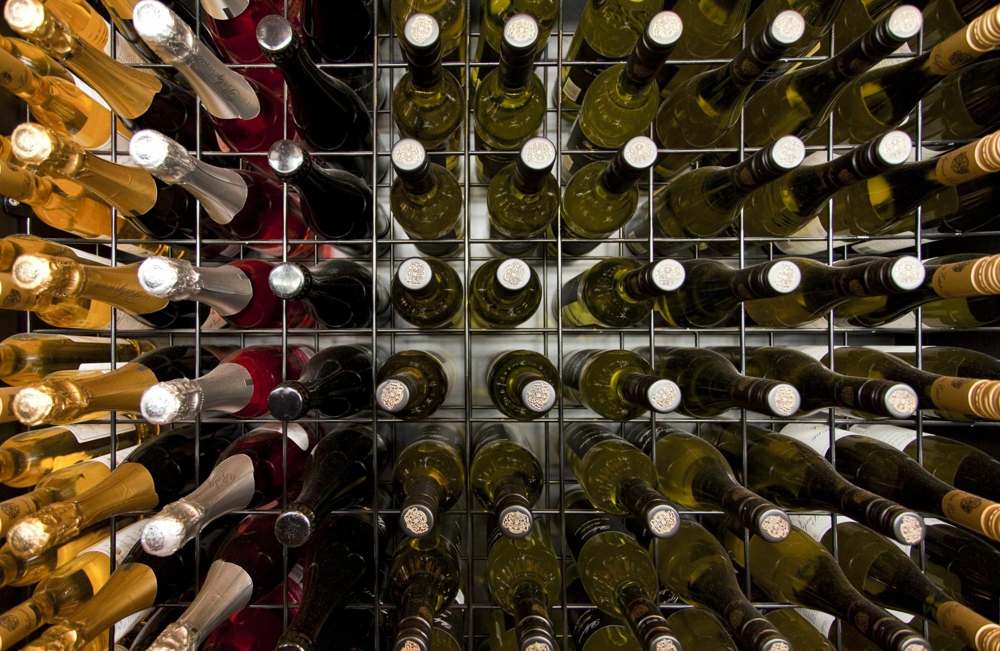 יארה גלן Balgownie Estate Yarra Valley מראה חיצוני תמונה Wine bottles in a wine rack